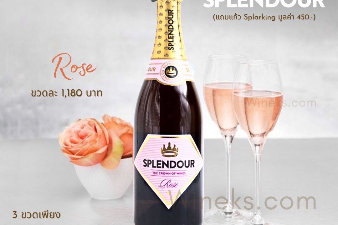 ค้นพบความหรูหราของ SPLENDOUR Rosé – สัมผัสแห่งความอร่อยที่คุณไม่ควรพลาด!